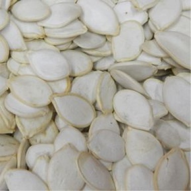 Pumpkin Seeds in Shell Avian Naturals