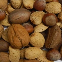 In Shell Organic Nuts