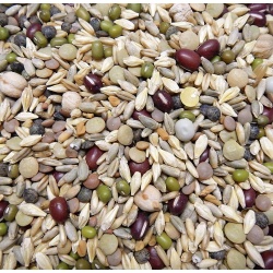 Avian Naturals OCIA Certified Organic Sprout Mix