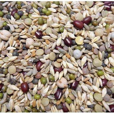 Avian Naturals OCIA Certified Organic Sprout Mix