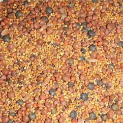 Avian Naturals Spicy Small OCIA Certified Organic Sprout Mix