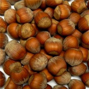 Filberts in Shell Organic