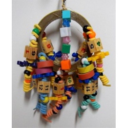 Circle of Fun C-137