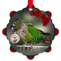 Green Cheek Conure Snowflake Ornament H-56