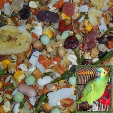 Tails Up Power Mash with Peanuts Avian Naturals