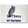 Dont Ruffle My Feathers Magnet