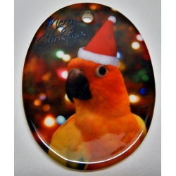 Sun Conure Santa Oval Ornament H-75
