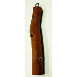 Ribbonwood Toy Building Core