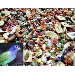 Comet's Grain Free Mix