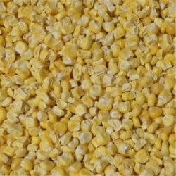 Freeze Dried Corn