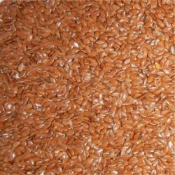 Flax Seed Organic