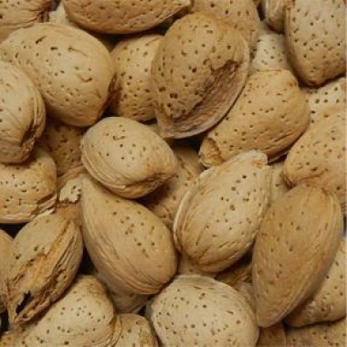 Almonds in Shell Organic