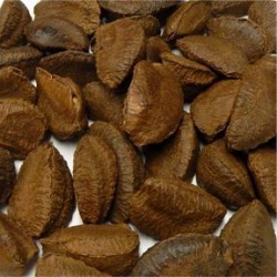 Brazil Nuts in Shell Organic