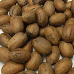 Pecans in Shell Organic