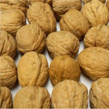 Walnuts in Shell Organic