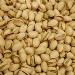 Pistachios in Shell Organic Unsalted